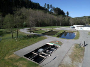 Fischfarm Beihingen