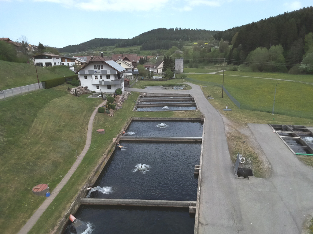 Fischfarm Haiterbach Beihingen