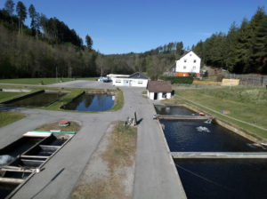 Hofladen Haiterbach Beihingen